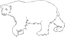 Bear Clipart