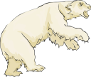 Bear Clipart