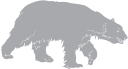 Bear Clipart