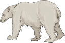 Bear Clipart