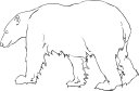 Bear Clipart