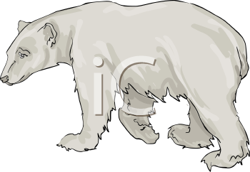 Bear Clipart