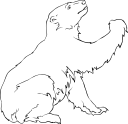 Bear Clipart