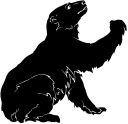 Bear Clipart