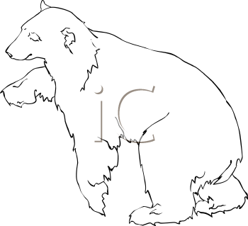Bear Clipart