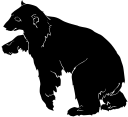 Bear Clipart