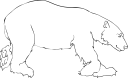 Bear Clipart