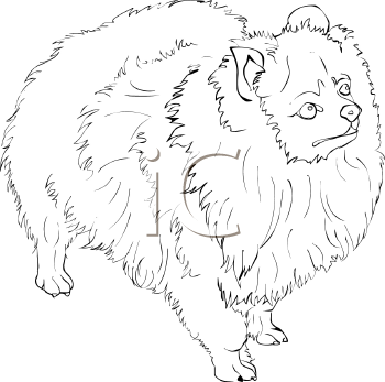 Dog Clipart