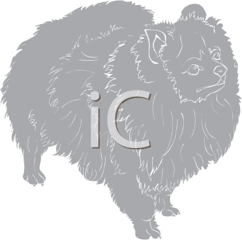 Pet Clipart