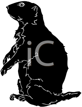 Pet Clipart