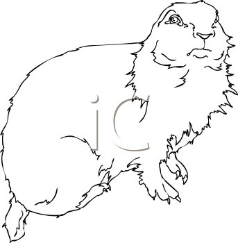 Dog Clipart