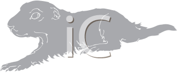 Dog Clipart