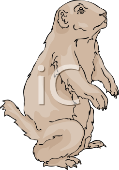 Pet Clipart