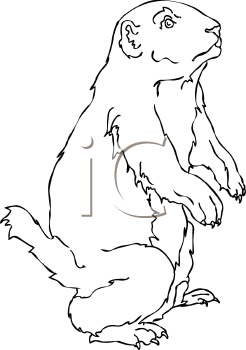 Dog Clipart