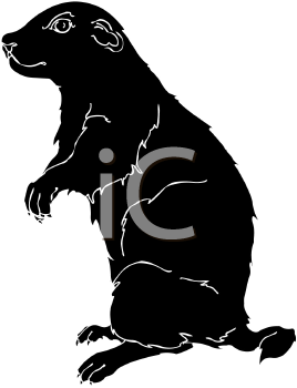 Pet Clipart