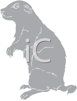 Pet Clipart