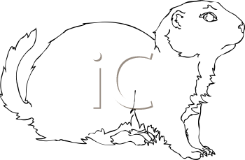 Pet Clipart