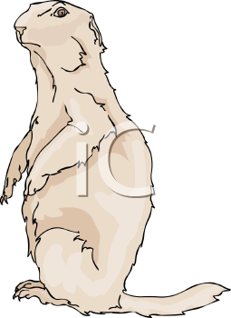 Pet Clipart