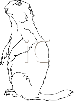 Dog Clipart