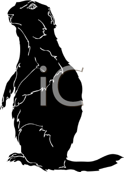 Pet Clipart