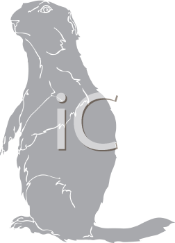 Pet Clipart