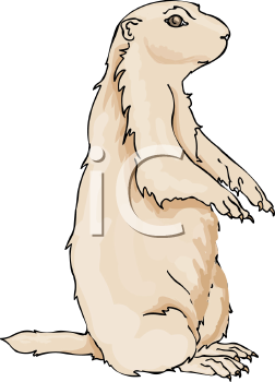 Pet Clipart