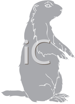 Pet Clipart
