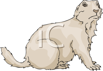 Pet Clipart