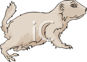 Pet Clipart
