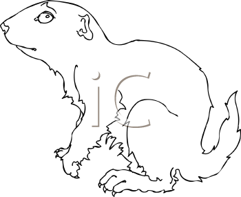 Pet Clipart