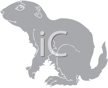 Pet Clipart