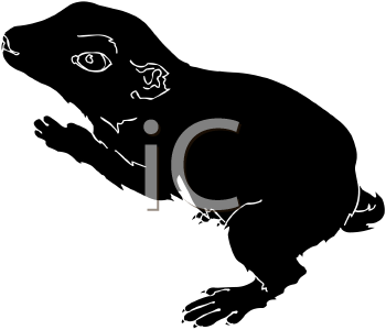 Pet Clipart