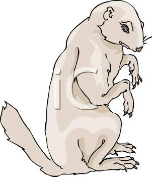 Pet Clipart