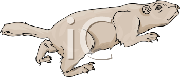 Dog Clipart