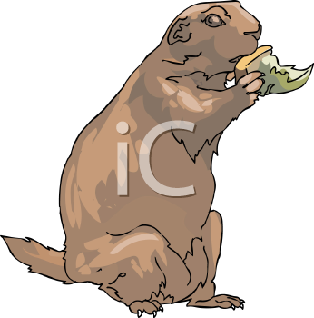 Dog Clipart