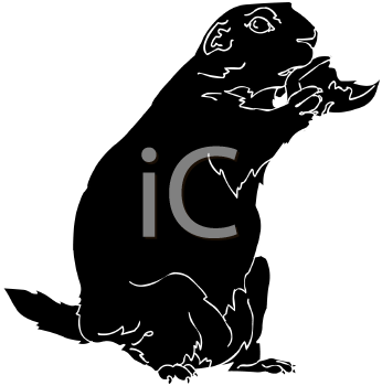 Pet Clipart