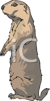 Pet Clipart