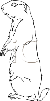 Pet Clipart