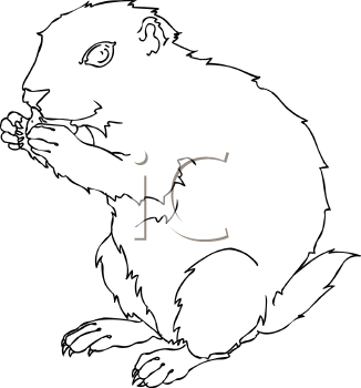 Dog Clipart