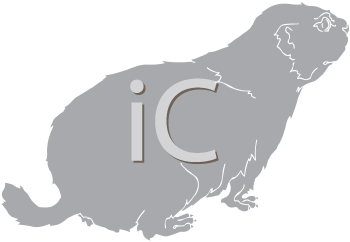 Pet Clipart