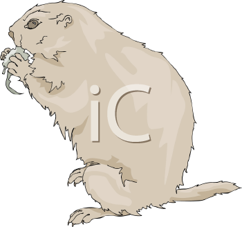 Pet Clipart