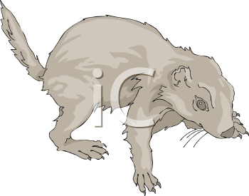 Pet Clipart