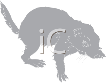 Pet Clipart
