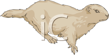 Pet Clipart