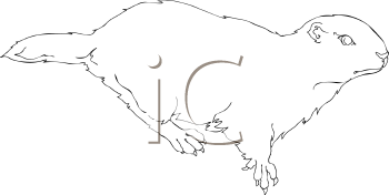 Pet Clipart