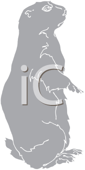Pet Clipart