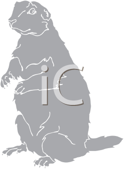 Pet Clipart