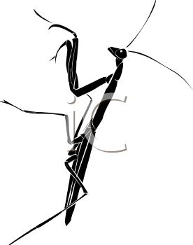 Insect Clipart