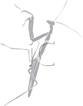 Insect Clipart