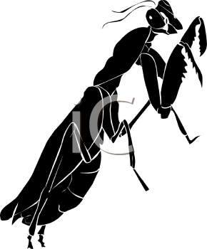 Insect Clipart